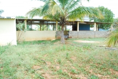 image8-1